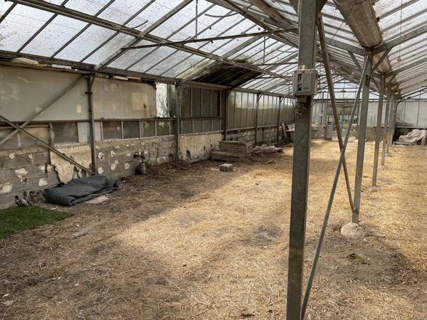 Vente TerrainAUCHY LES HESDIN (62770)