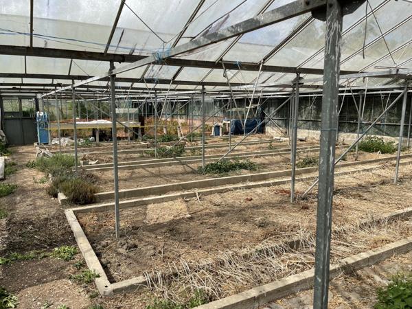 Vente TerrainAUCHY LES HESDIN (62770)