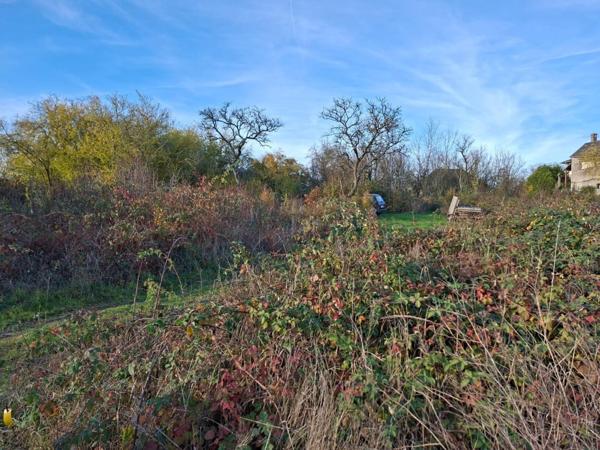 Calme, nature et qualité de vie : le terrain idéal pour votre futur projet !