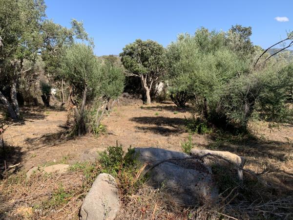 Sotta (20146) Villa de charme à Sotta en VEFA