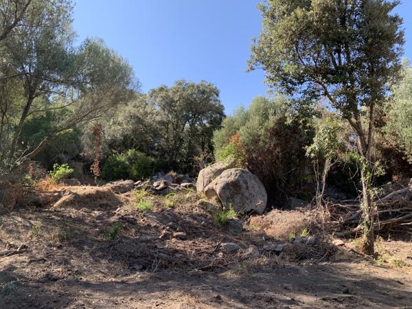 Sotta (20146) Villa de charme à Sotta en VEFA