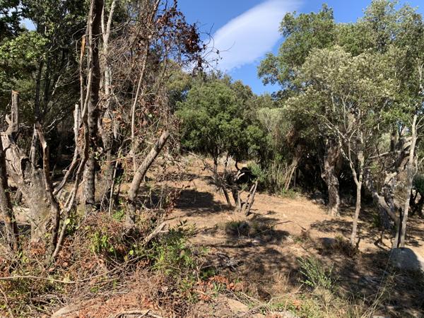 Sotta (20146) Villa de charme à Sotta en VEFA