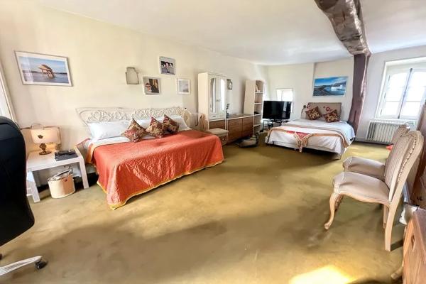 Belle demeure familiale de la renaissance avec son jardin suspendu à Écouen