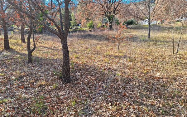 Terrain à vendre    Quinson