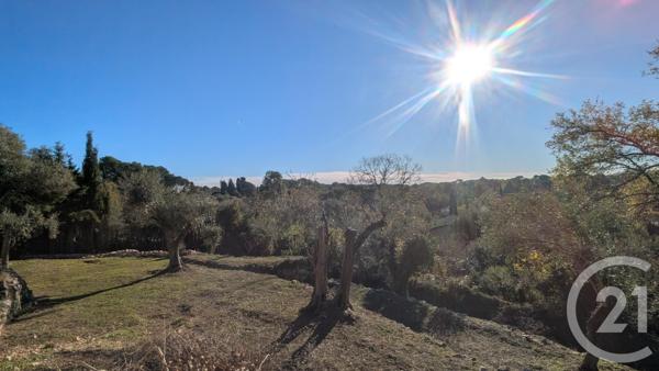 Terrain à vendre  1788 m2 ROQUEFORT LES PINS - 06