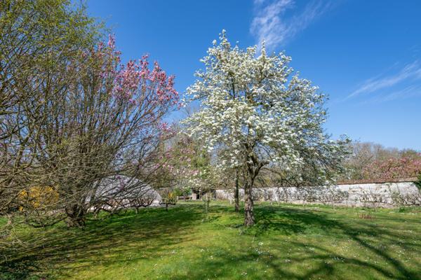 Janville-sur-Juine (91510) Maison de Maître en pierre du XIXe siècle avec parc arboré et piscine, à 45 min de Paris
