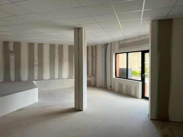 Local mixte (Professionnel/Habitation) à vendre à Ploudalmézeau dans le Finistère (29830), ref : 578