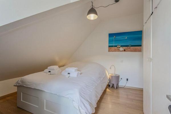 Duplex T3 avec terrasse, vue château – Menthon-Saint-Bernard