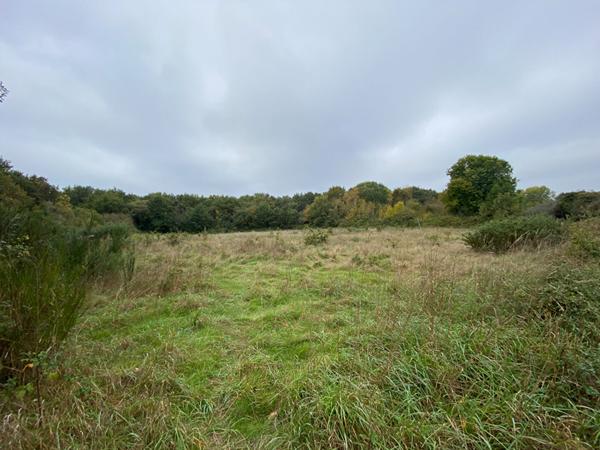 Terrain à vendre à Séné proche mer secteur Port Anna non constructible