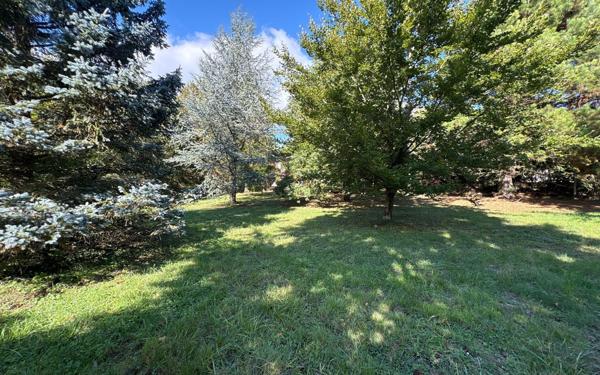 Terrain à vendre    Saâcy-sur-Marne