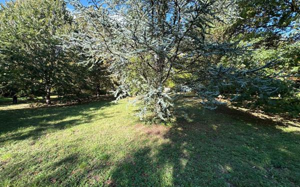 Terrain à vendre    Saâcy-sur-Marne