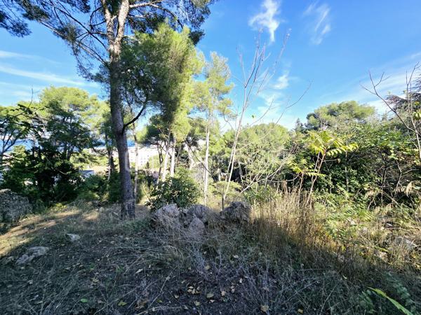 Terrain de 2 887 m²