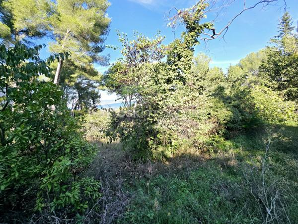 Terrain de 2 887 m²