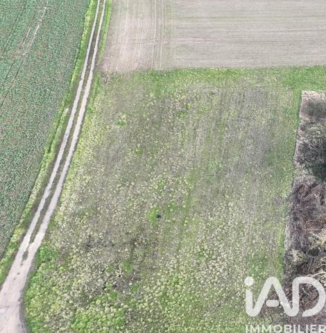 Terrain à vendre 901 m² Saint-Benoît-sur-Loire