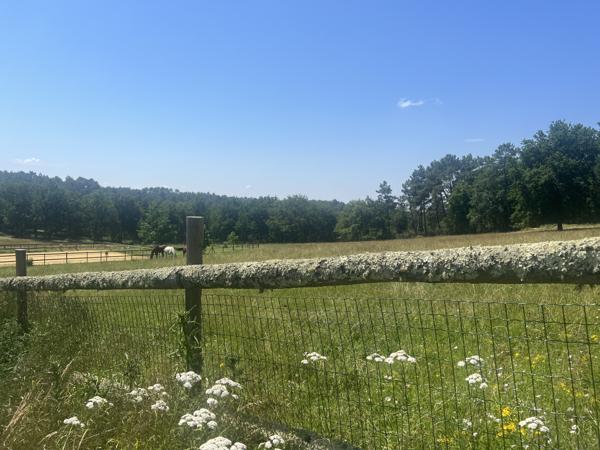 Maison à vendre à Bergerac (24100) - Dordogne