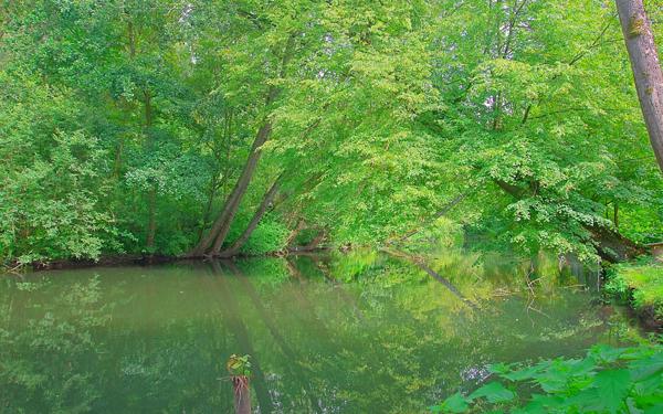 Maison à vendre    5 pièces •  Ham