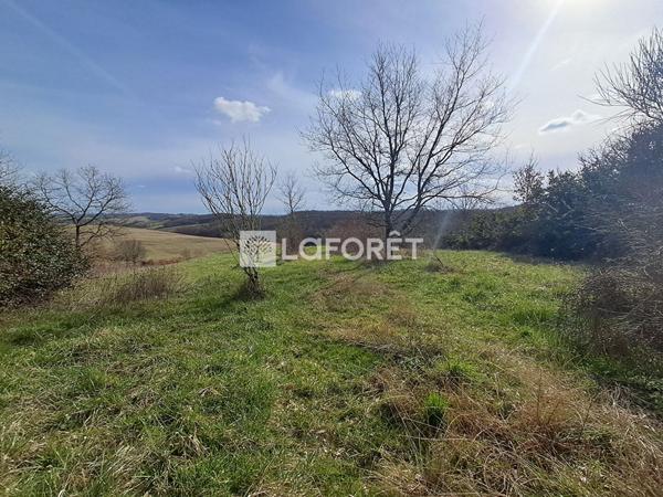 Achat terrain près de VILLEMUR SUR TARN - 12070 m² - 99 500 €