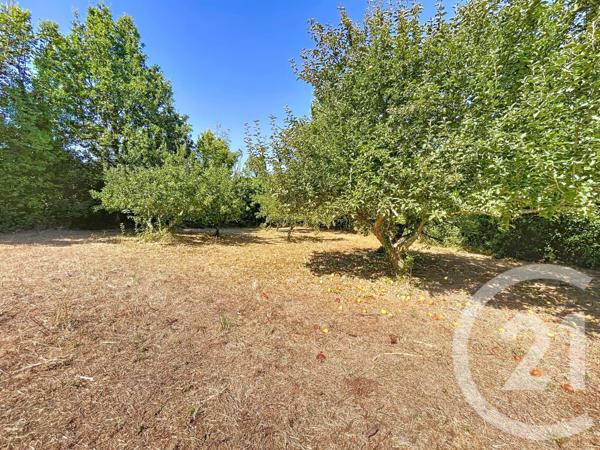 Terrain à vendre  910 m2 ST GILDAS DE RHUYS - 56