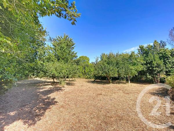 Terrain à vendre  910 m2 ST GILDAS DE RHUYS - 56