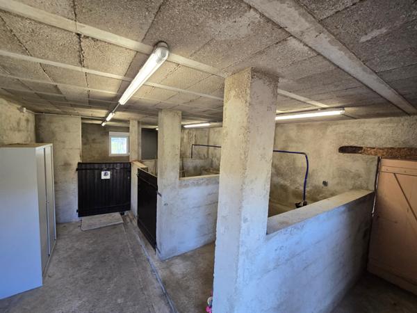 Longère de 3 ch  avec grange  écurie 3 box