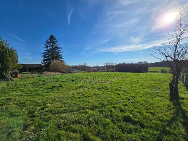 Longère de 3 ch  avec grange  écurie 3 box