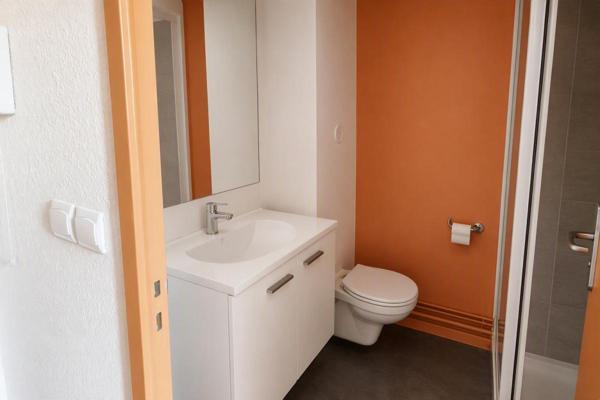Achat 1 Pieces 17 45000 Orleans idf53956