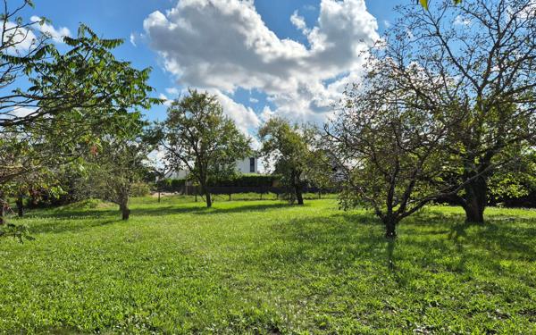 Terrain à vendre    Wittenheim