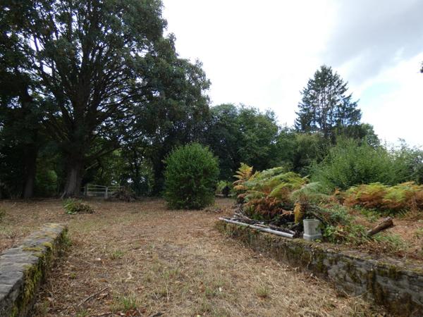 Terrain à PACE, 61250 - 2613m²
