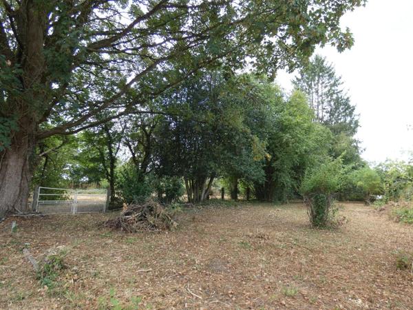 Terrain à PACE, 61250 - 2613m²