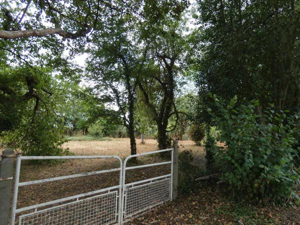 Terrain à PACE, 61250 - 2613m²