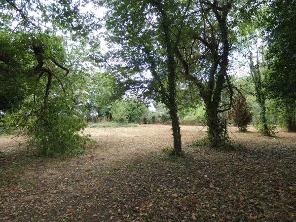Terrain à PACE, 61250 - 2613m²