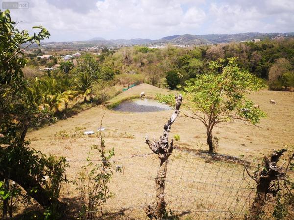 Propriété agricole à vendre à Rivière-Salée en Martinique (97215), ref :