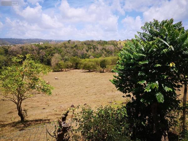 Propriété agricole à vendre à Rivière-Salée en Martinique (97215), ref :