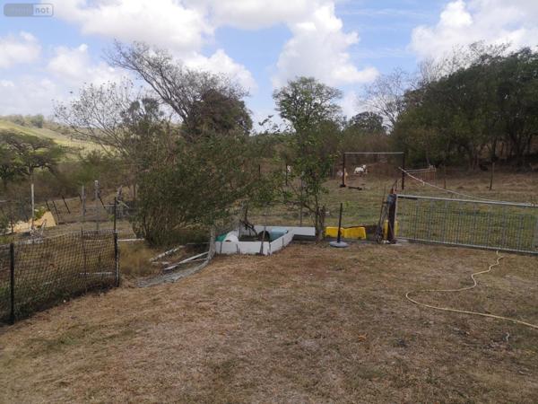 Propriété agricole à vendre à Rivière-Salée en Martinique (97215), ref :