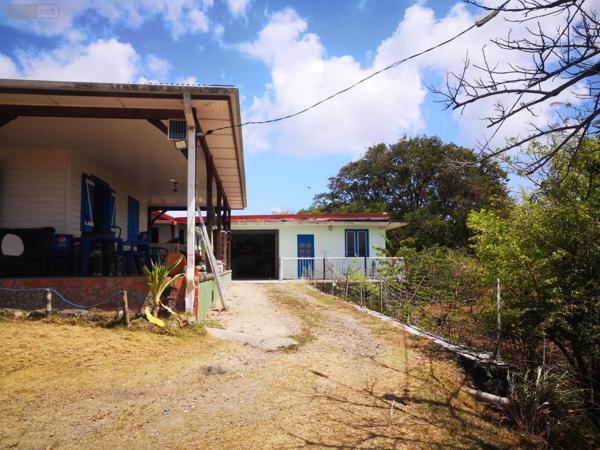 Propriété agricole à vendre à Rivière-Salée en Martinique (97215), ref :