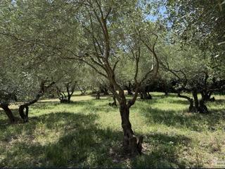 Sommières (30250) SOMMIÈRES, MAUVALAT , TERRAIN A BATIR, 930 M2