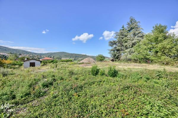 Un terrain verdoyant pour accueillir votre future maison