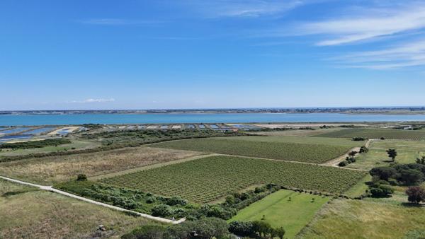 île de Ré - Loix - Rare, Terrain constructible au coeur d'un environnement remarquable
