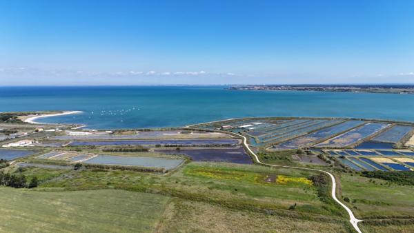 île de Ré - Loix - Rare, Terrain constructible au coeur d'un environnement remarquable