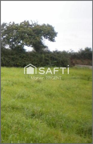 Terrain constructible