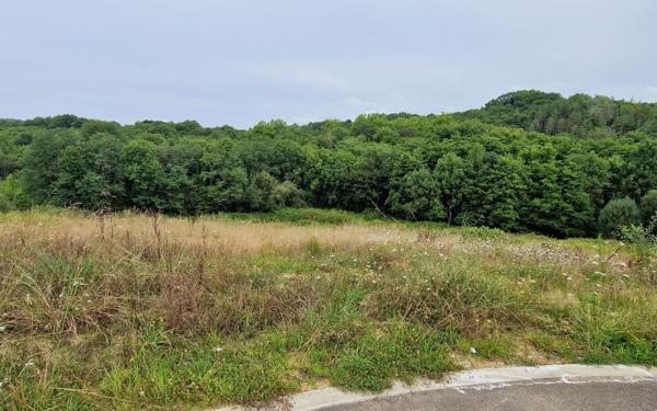 Terrain à vendre    Mouguerre