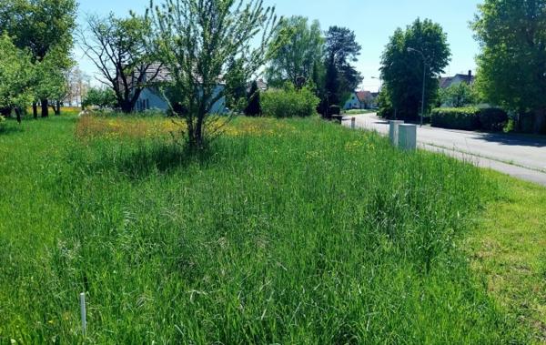 Vente Terrain de construction Bernolsheim   