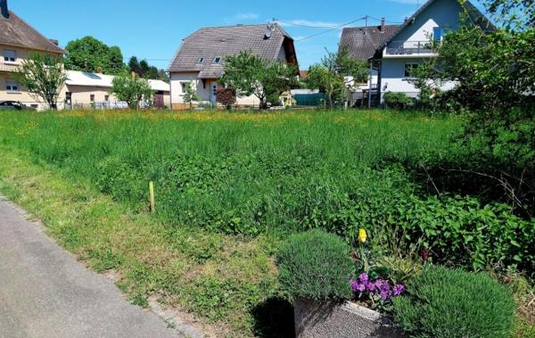 Vente Terrain de construction Bernolsheim   