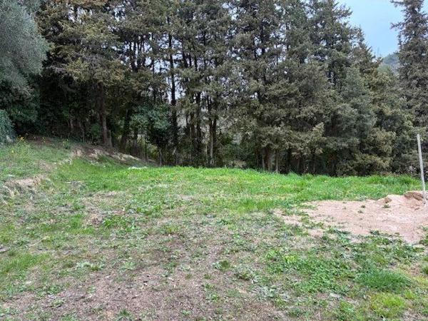 Vente Terrain 1135 m2 à Mougins