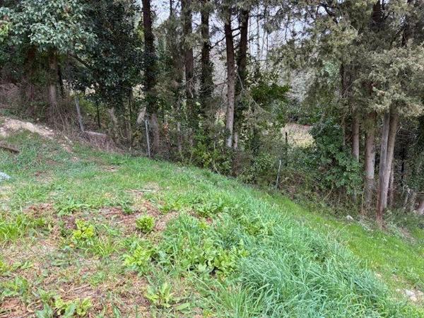 Vente Terrain 1135 m2 à Mougins