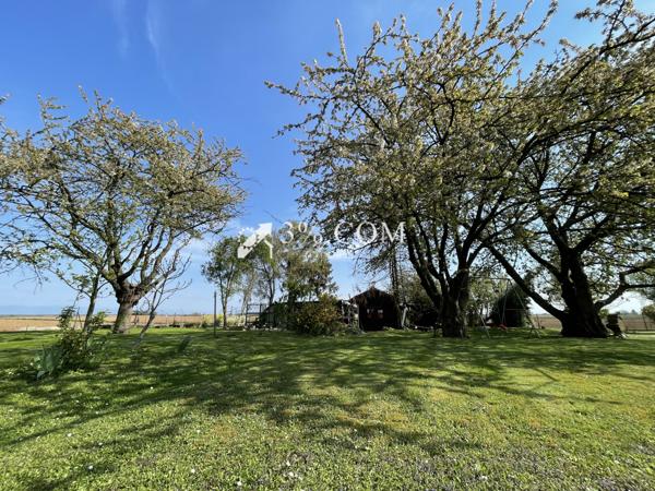 3%.COM - EXCLUSIVITÉ à BERSTETT, Terrain de loisir de 15,23 ares arboré, chalet en bois. Berstett (67370)