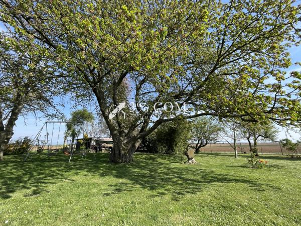 3%.COM - EXCLUSIVITÉ à BERSTETT, Terrain de loisir de 15,23 ares arboré, chalet en bois. Berstett (67370)