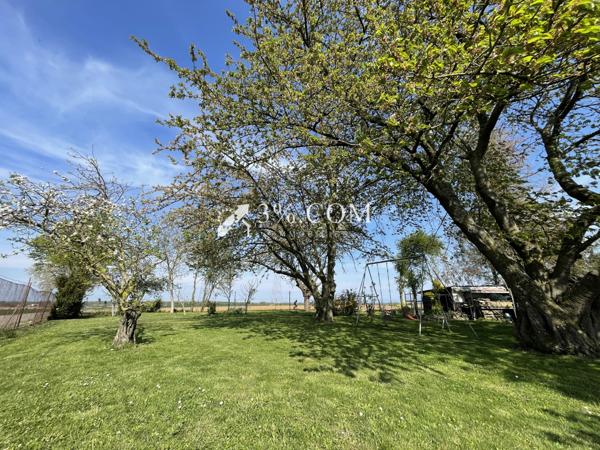 3%.COM - EXCLUSIVITÉ à BERSTETT, Terrain de loisir de 15,23 ares arboré, chalet en bois. Berstett (67370)