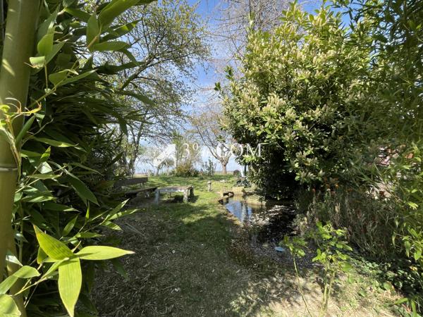 3%.COM - EXCLUSIVITÉ à BERSTETT, Terrain de loisir de 15,23 ares arboré, chalet en bois. Berstett (67370)