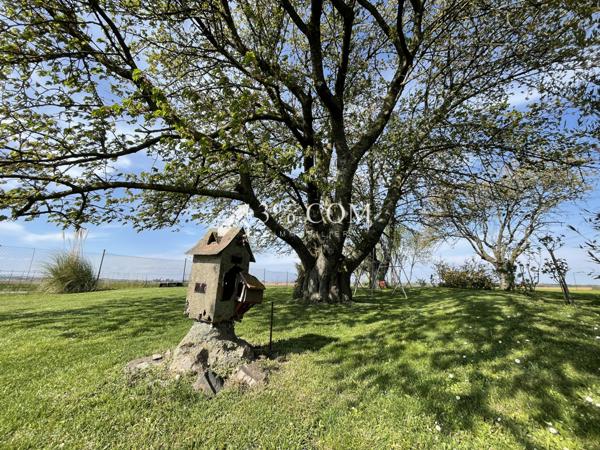 3%.COM - EXCLUSIVITÉ à BERSTETT, Terrain de loisir de 15,23 ares arboré, chalet en bois. Berstett (67370)